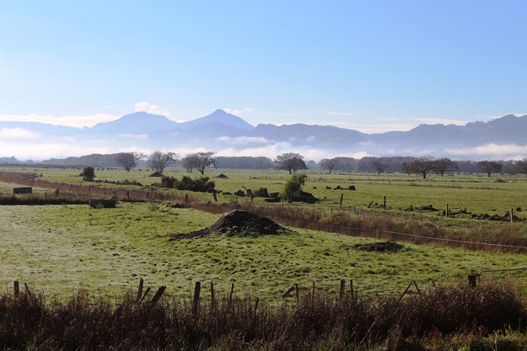 Read more about the article Thames & Hauraki Plains DJ – Ngatea to Thames & Kopu (Hub)