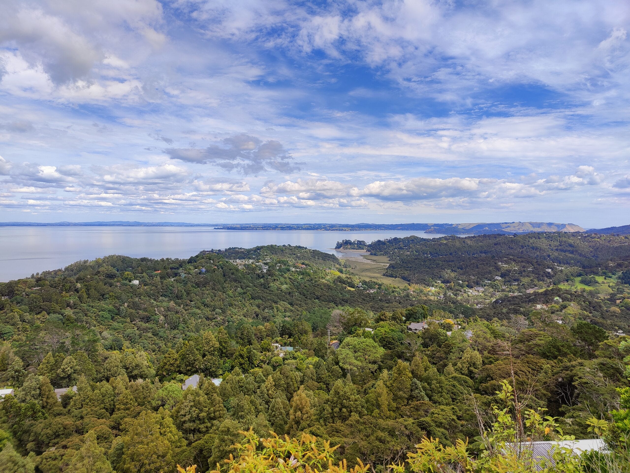 Read more about the article Glen Eden & Titirangi DJ – Bush, Hills & Westside Events