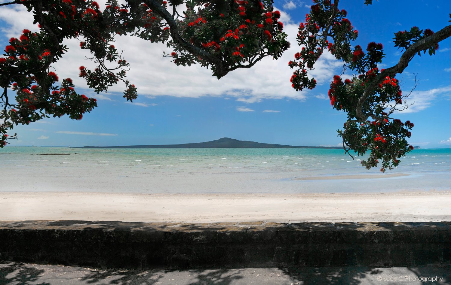 Read more about the article Mission Bay, St Heliers & Kohimarama DJ – Eastern Bays